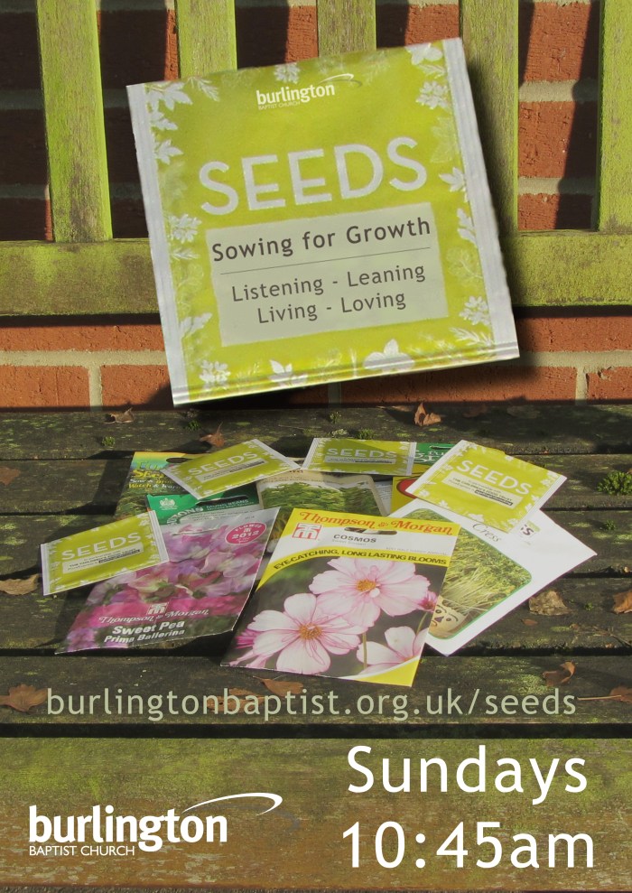 Sundays: Sowing for Growth 